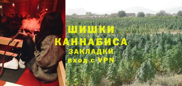 дурь Верея