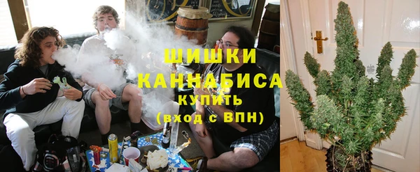 стаф Богородицк