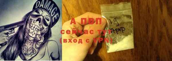 стаф Богородицк